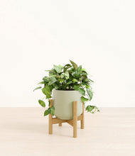 Load image into Gallery viewer, Turquoise stand:bamboo
