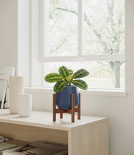 Lade das Bild in den Galerie-Viewer, Deep Navy stand:walnut
