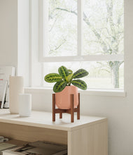 Lade das Bild in den Galerie-Viewer, Calm Rose stand:walnut
