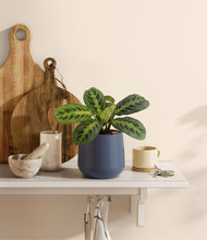 Lade das Bild in den Galerie-Viewer, Deep Navy
