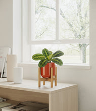 Lade das Bild in den Galerie-Viewer, Glossy Red stand:bamboo
