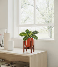 Lade das Bild in den Galerie-Viewer, Glossy Red stand:walnut
