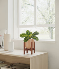 Lade das Bild in den Galerie-Viewer, Glossy Pink stand:walnut
