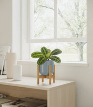 Lade das Bild in den Galerie-Viewer, Misty Blue stand:bamboo
