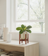 Lade das Bild in den Galerie-Viewer, Sage Green stand:walnut
