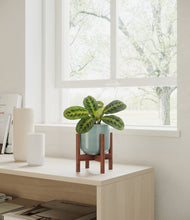Lade das Bild in den Galerie-Viewer, Reactive Aqua stand:walnut
