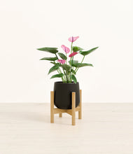 Load image into Gallery viewer, Black stand:bamboo
