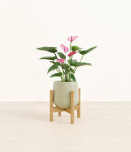 Load image into Gallery viewer, Turquoise stand:bamboo

