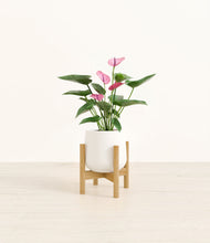 Load image into Gallery viewer, White stand:bamboo
