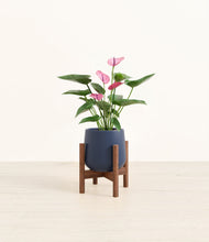 Load image into Gallery viewer, Deep Navy stand:walnut

