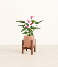 Load image into Gallery viewer, Calm Rose stand:walnut
