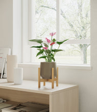 Load image into Gallery viewer, Olive stand:bamboo
