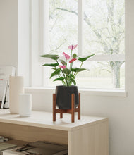 Load image into Gallery viewer, Black stand:walnut
