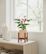 Load image into Gallery viewer, Gentle Pink stand:walnut
