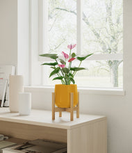 Load image into Gallery viewer, Mustard stand:bamboo
