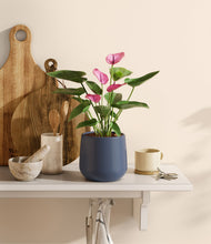 Load image into Gallery viewer, Deep Navy
