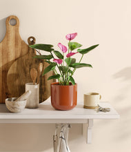 Lade das Bild in den Galerie-Viewer, Glossy Red
