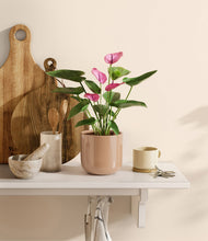 Lade das Bild in den Galerie-Viewer, Glossy Pink
