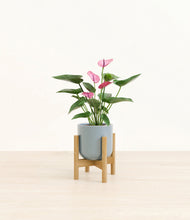 Lade das Bild in den Galerie-Viewer, Misty Blue stand:bamboo
