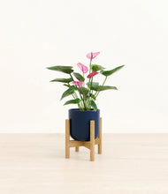 Lade das Bild in den Galerie-Viewer, Twilight Blue stand:bamboo
