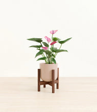 Lade das Bild in den Galerie-Viewer, Sandy Pink stand:walnut
