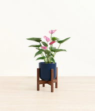 Lade das Bild in den Galerie-Viewer, Twilight Blue stand:walnut

