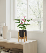 Lade das Bild in den Galerie-Viewer, Stone Black stand:bamboo
