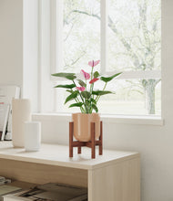 Lade das Bild in den Galerie-Viewer, Glossy Pink stand:walnut
