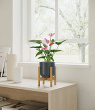 Lade das Bild in den Galerie-Viewer, Iron Gray stand:bamboo
