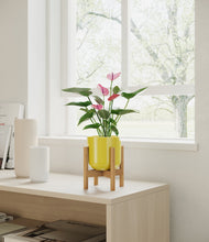 Lade das Bild in den Galerie-Viewer, Key Lime Yellow stand:bamboo
