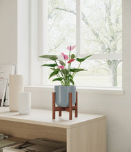 Lade das Bild in den Galerie-Viewer, Misty Blue stand:walnut
