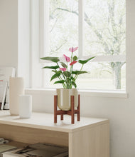 Lade das Bild in den Galerie-Viewer, Sage Green stand:walnut
