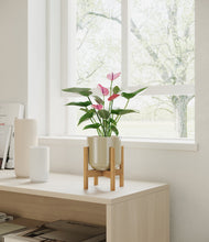 Lade das Bild in den Galerie-Viewer, Sage Green stand:bamboo
