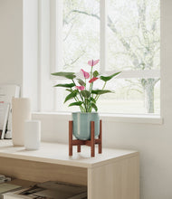 Lade das Bild in den Galerie-Viewer, Reactive Aqua stand:walnut
