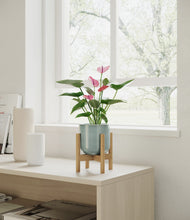 Lade das Bild in den Galerie-Viewer, Reactive Aqua stand:bamboo
