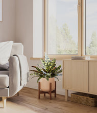 Load image into Gallery viewer, Gentle Pink stand:walnut
