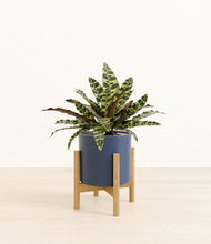Load image into Gallery viewer, Deep Navy stand:bamboo
