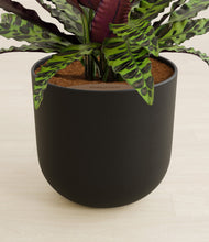 Load image into Gallery viewer, Stone Black stand:all
