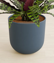 Load image into Gallery viewer, Iron Gray stand:all
