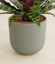 Load image into Gallery viewer, Sage Green stand:all
