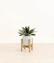 Load image into Gallery viewer, Hammered Ivory stand:bamboo
