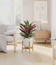 Load image into Gallery viewer, Natural Bamboo stand:bamboo
