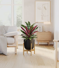 Load image into Gallery viewer, Stone Black stand:bamboo
