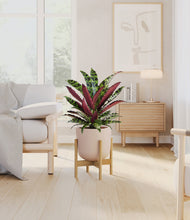 Load image into Gallery viewer, Sandy Pink stand:bamboo
