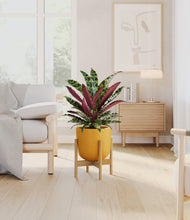 Load image into Gallery viewer, Sunset Orange stand:bamboo
