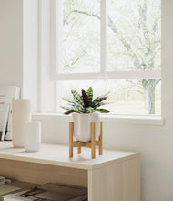 Load image into Gallery viewer, Snowdrift White stand:bamboo
