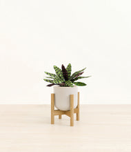 Load image into Gallery viewer, Snowdrift White stand:bamboo
