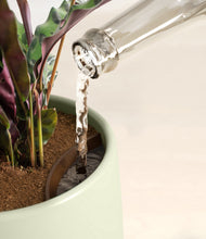 Load image into Gallery viewer, Lily Pad stand:all
