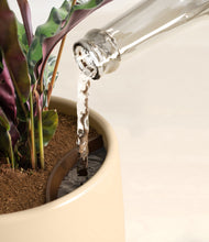 Load image into Gallery viewer, Evening Sky stand:all
