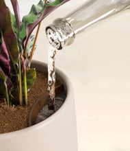 Load image into Gallery viewer, Earthy stand:all
